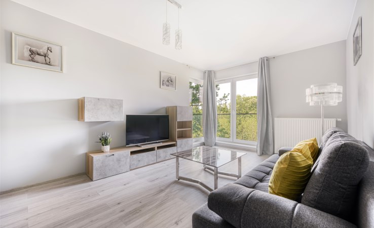 mieszkanie na wynajem - Łódź, Śródmieście, Tymienieckiego