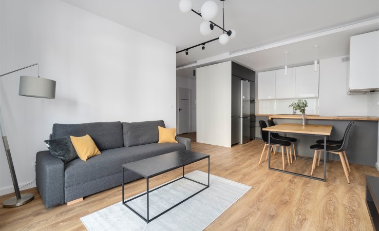 mieszkanie na wynajem - Łódź, Śródmieście, Wodna