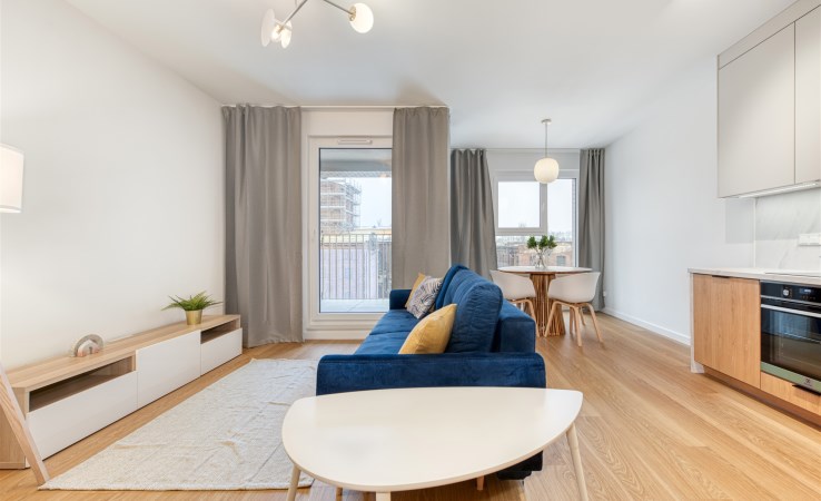 mieszkanie na wynajem - Łódź, Śródmieście, Milionowa