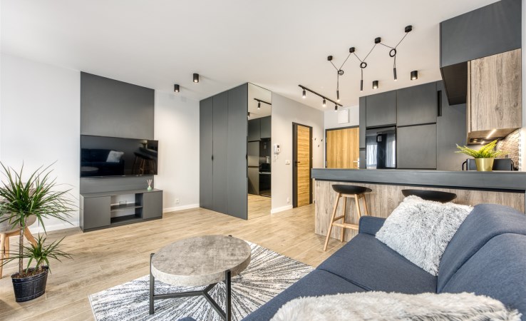 mieszkanie na wynajem - Łódź, Śródmieście, Tramwajowa