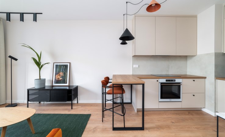 mieszkanie na wynajem - Łódź, Śródmieście, Milionowa